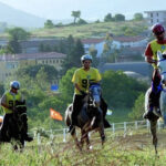 Sport equestri in Sicilia: Endurance e salto ostacoli protagoniste del fine settimana